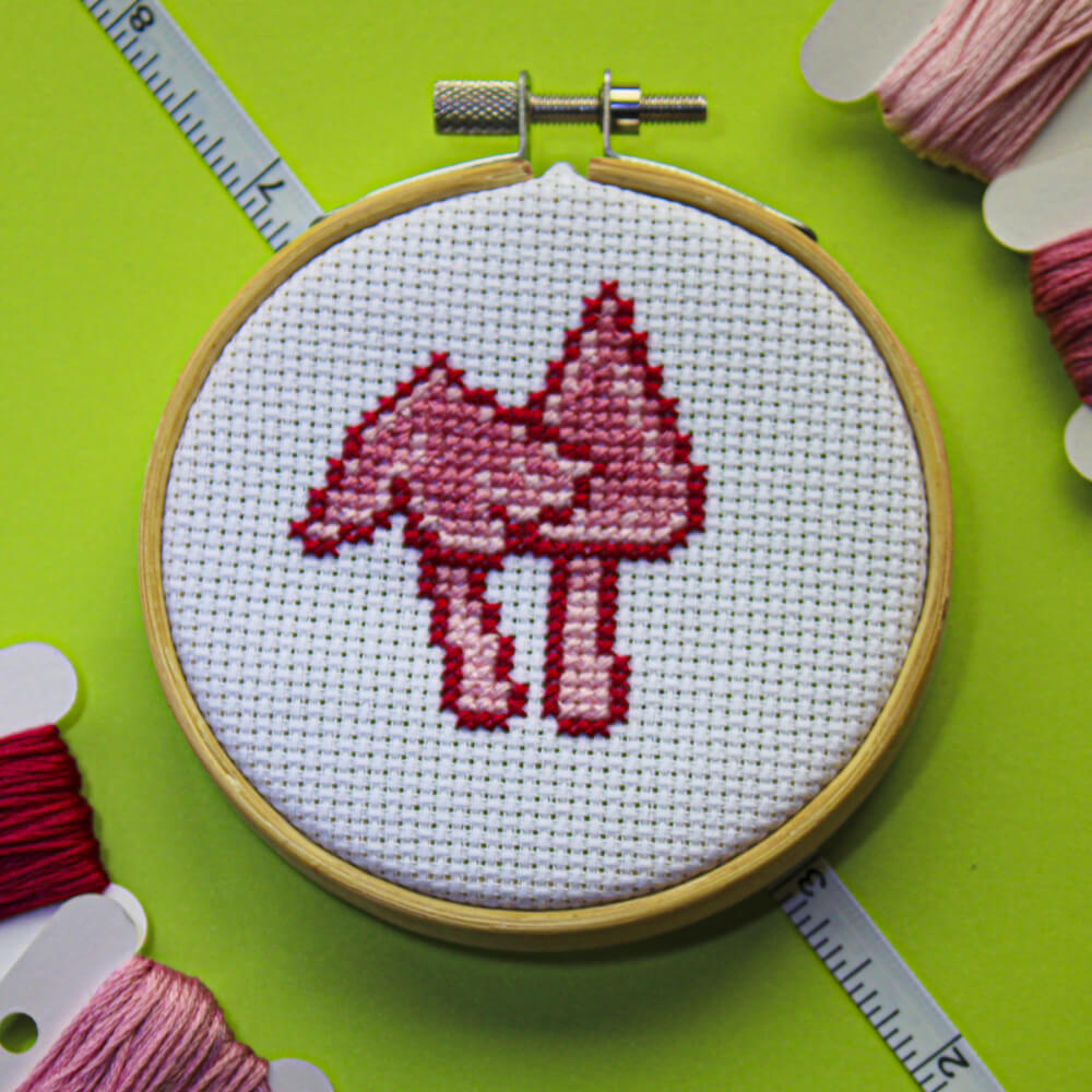 Pink Waxcap Photo
