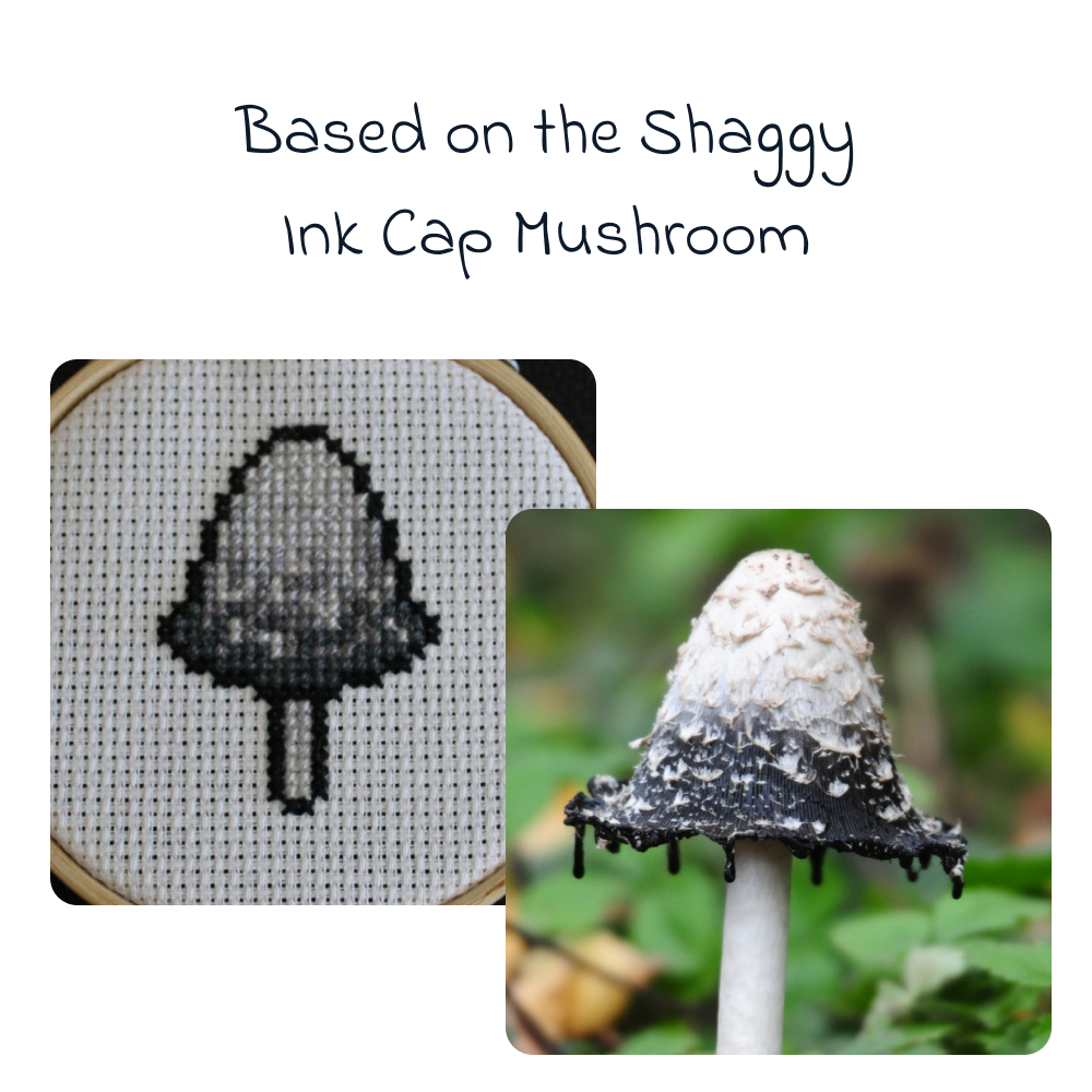 Shaggy Ink Cap Based On